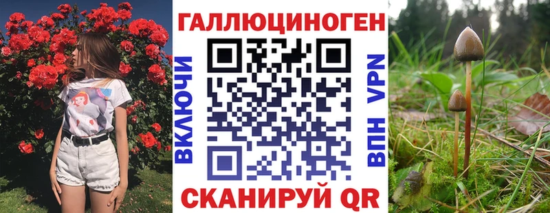 Псилоцибиновые грибы Magic Shrooms  Купить где  Сорочинск 